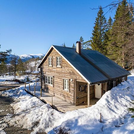 Вилла Norgesferie I Sirdal Sinnes Экстерьер фото
